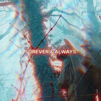 FOREVER & ALWAYS by Ohkanashii