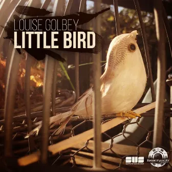 Little Bird by Louise Golbey