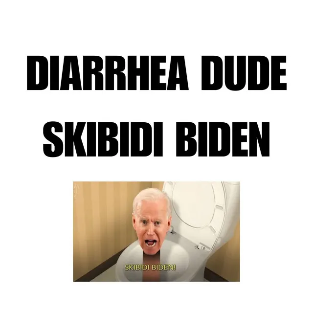 Skibidi Biden - Slowed & Reverb