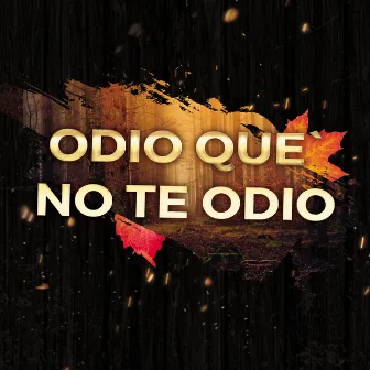 Odio Que No Te Odio by La Pachanga