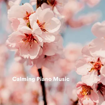 Calming Piano Music by Reading Background Music