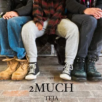 2MUCH (SFF) by Teja