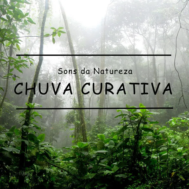 Sons da Natureza: Chuva Curativa