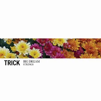 Big Dream / Strings by Trick