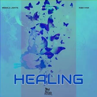 Healing by Regalo Joints