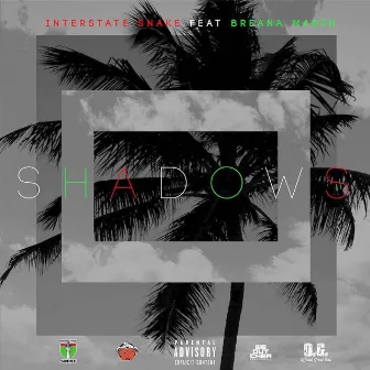 Shadows by Interstate Snake