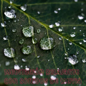 Meditación Relajante Con Sonidos De Lluvia, Recopilación De Sonidos De Lluvia Para Conciliar El Sueño, Estudio, Concentración, Zen, Yoga, Masaje, Insomnio by Sonidos Naturales Relax