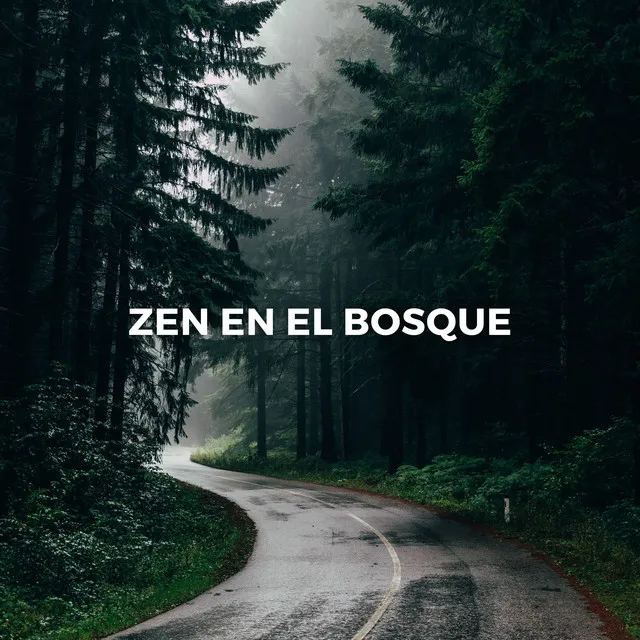 Zen En El Bosque: Reflexiones Boscosas