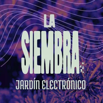 Jardín Electrónico by La Siembra