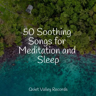 50 Soothing Songs for Meditation and Sleep by Naturaleza Sonidos