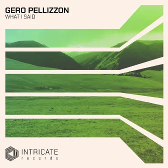 What I Said by Gero Pellizzon