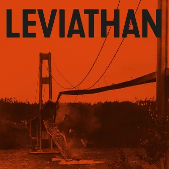 Leviathan by Report Suspicious Activity