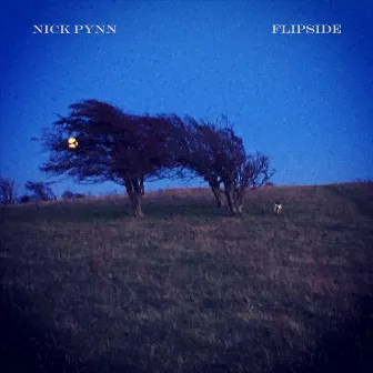 Flipside by Nick Pynn