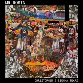 Mr. Robin by Christopher Sears