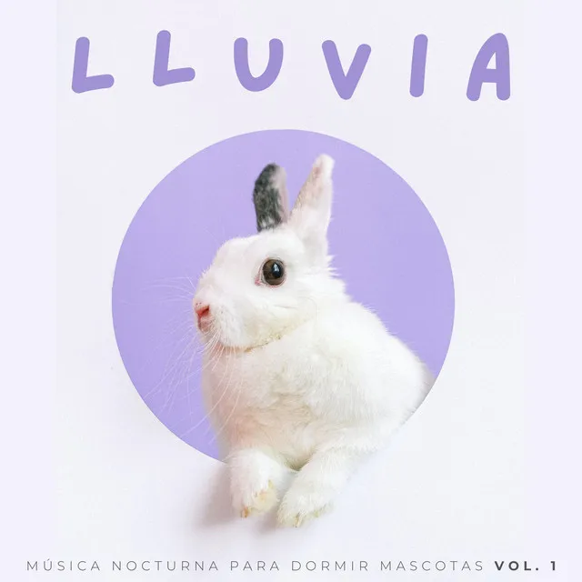 Lluvia: Música Nocturna Para Dormir Mascotas Vol. 1