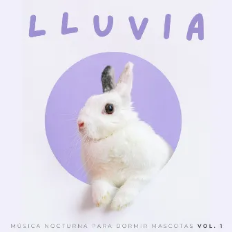 Lluvia: Música Nocturna Para Dormir Mascotas Vol. 1 by Perros y gatos felices