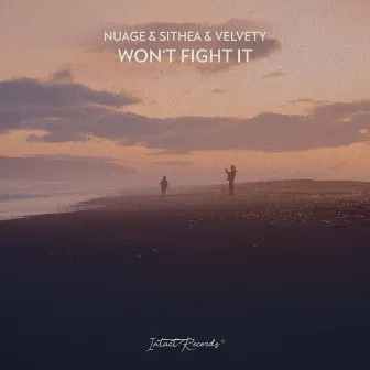 Won't Fight It by Nuage