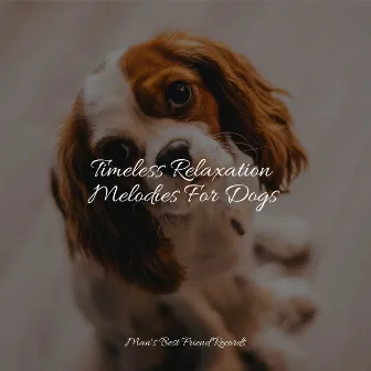 Timeless Relaxation Melodies For Dogs by Deep Sleep