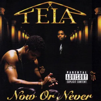 Now or Never by Tela