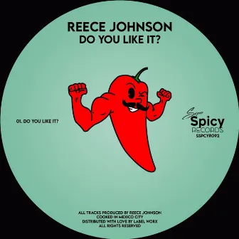 Do You Like It? by Reece Johnson