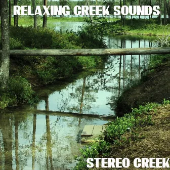 Relaxing Creek Sounds by Stereo Creek