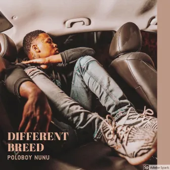 Different Breed by Poloboy Nunu