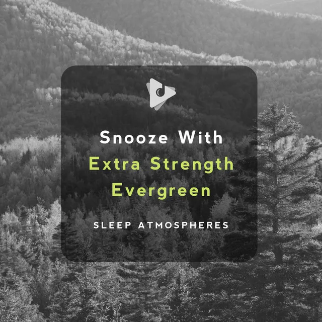 Snooze With Extra Strength Evergreen