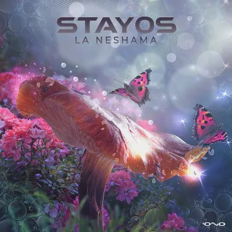 La Neshama by Stayos