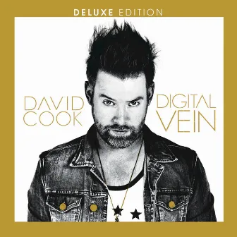 Digital Vein (Deluxe Version) by David Cook