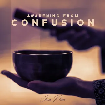 Awakening From Confusion by Ashna Lite