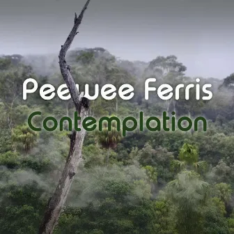 Contemplation by Peewee Ferris