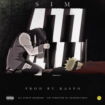 411 by SIM