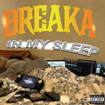 In my sleep by Breaka