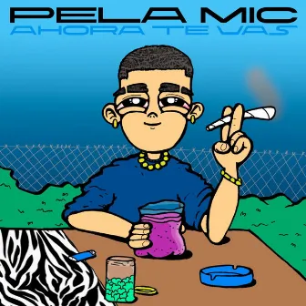 Ahora Te Vas by Pela Mic