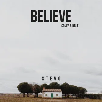 Believe by Stevo