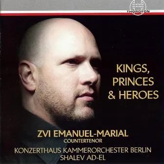 Kings, Princes & Heroes by Zvi Emanuel-Marial