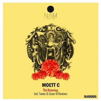 The Knowing by Moett C