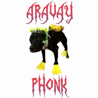 ARAVAY PHONK by ATLXS