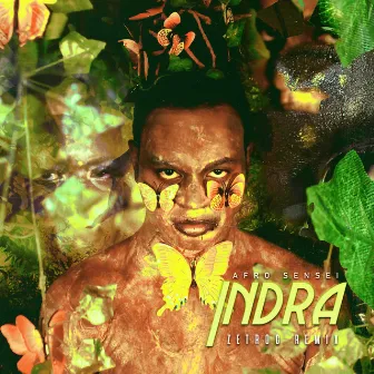 Indra (Zetroc Remix) by Afro Sensei