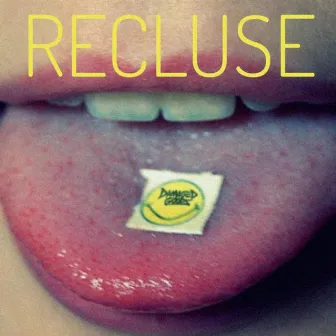 Recluse by Damaged Goods