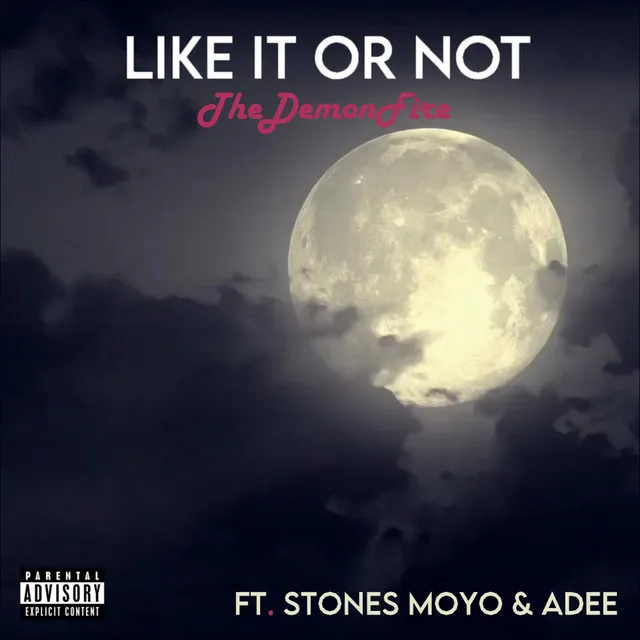 Like it or not (Official Audio)