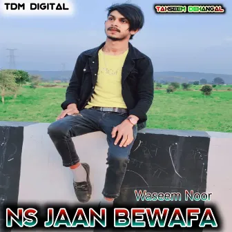 Ns Jaan Bewafa by Tahseem Dehangal