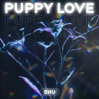 Puppy Love by Shu