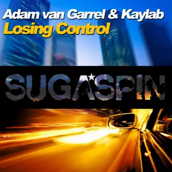 Losing Control by Adam van Garrel