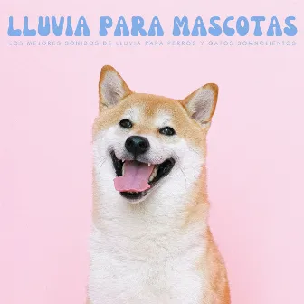 Lluvia Para Mascotas: Los Mejores Sonidos De Lluvia Para Perros Y Gatos Somnolientos by Música de perros tranquilo