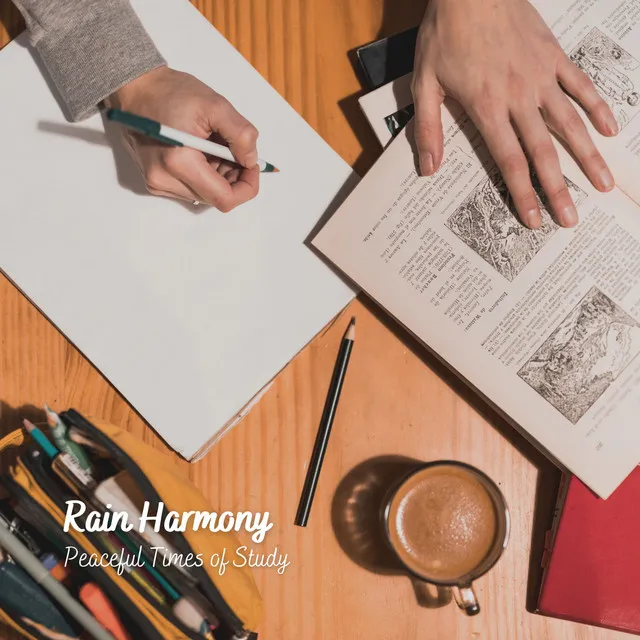 Rain Harmony: Peaceful Times of Study