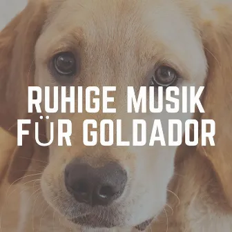 Ruhige Musik für Goldador by Entspannende Musik für Hunde