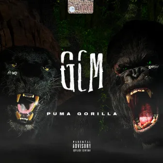 Puma Gorilla by GCM