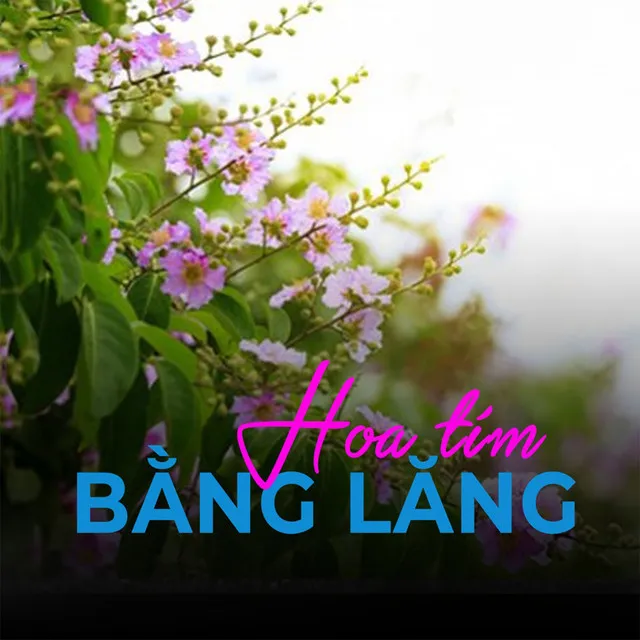 Hoa tím bằng lăng