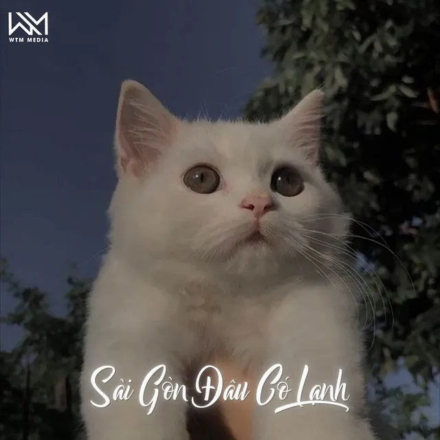 Sài Gòn Đâu Có Lạnh - Remix